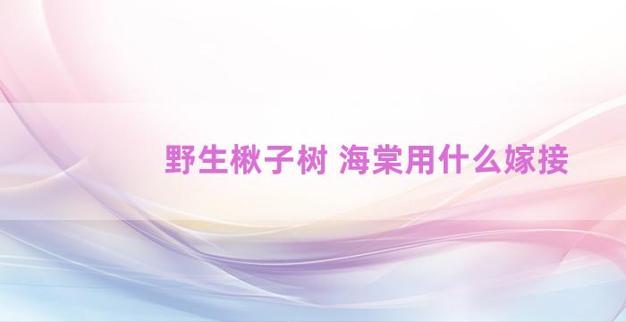 野生楸子树 海棠用什么嫁接